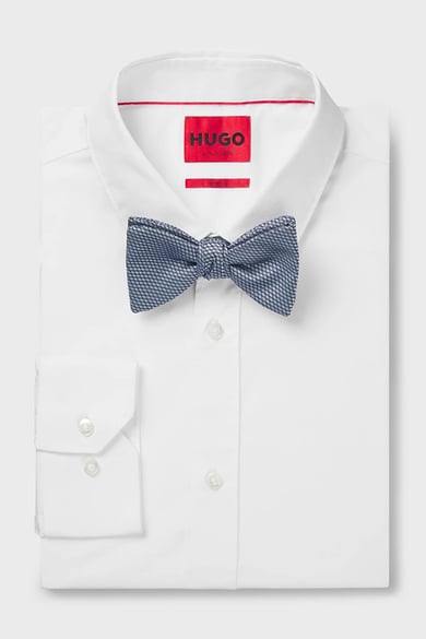 ΠΑΠΙΟΝ HUGO - 483